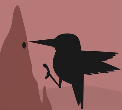 翠鳥(niǎo)