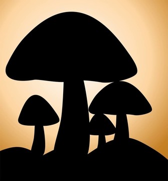 蘑菇