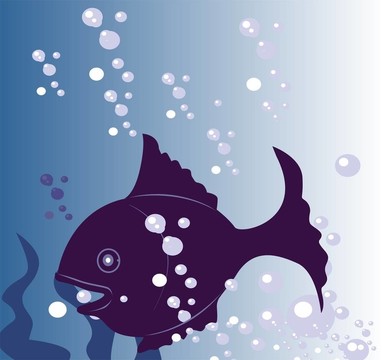 魚
