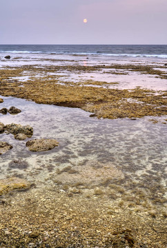 熱帶海岸