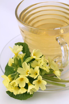 月見草茶