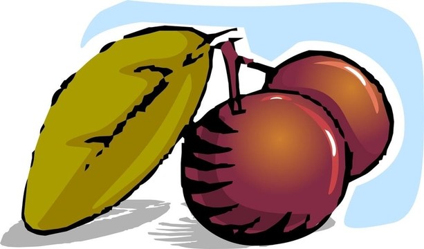 漿果