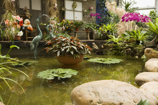 美麗的室內(nèi)花園，五顏六色的春天