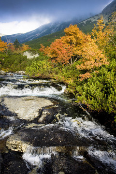 巨大的冷谷；Vysoke Tatry（高水）；斯洛伐克