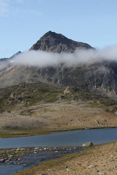 綠地內(nèi)部tasillaq以上
