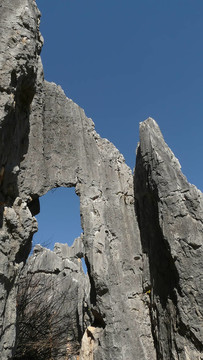 石林石林中國(guó)亞洲