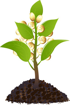 綠色植物與金錢