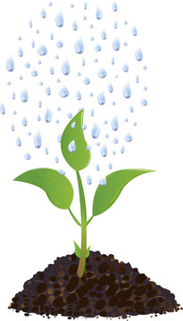 綠幼雨