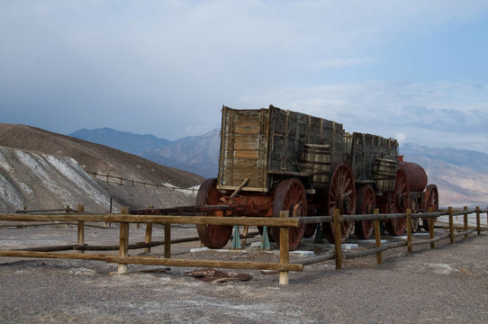 100 Mule Wagons