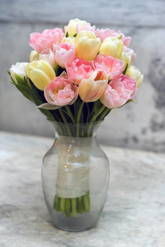 郁金香花束