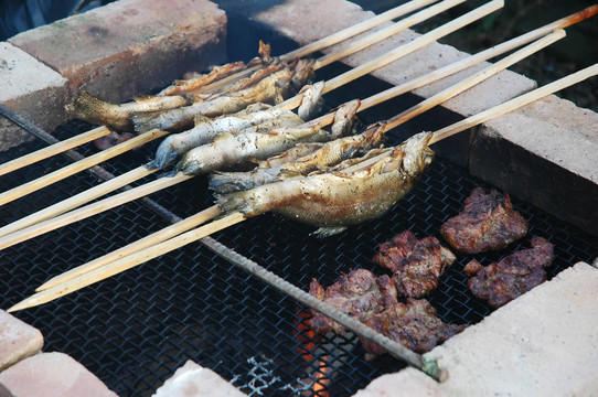 鱒魚