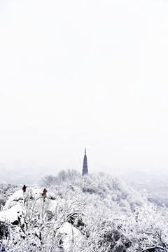 杭州 西湖雪景 保叔塔