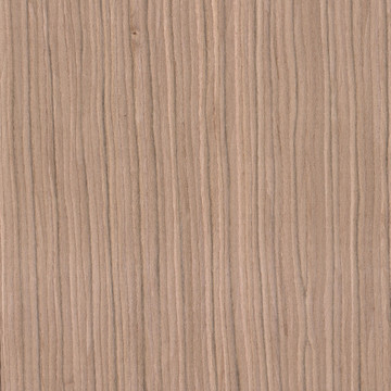 木紋