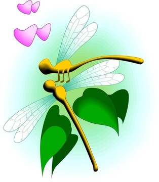 蜻蜓