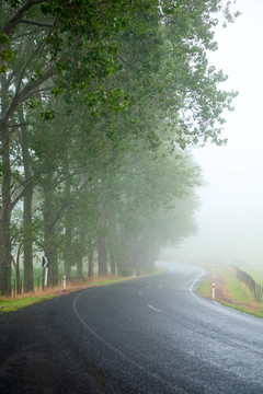 霧蒙蒙的路