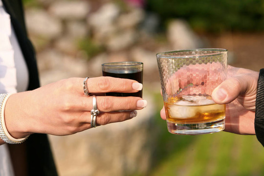 朋友們舉著酒杯