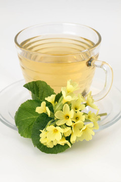 月見草茶