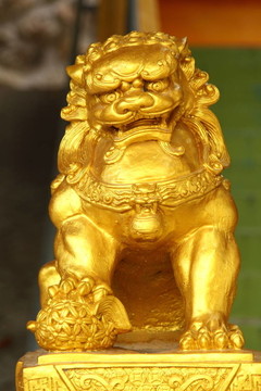 金色的獅子
