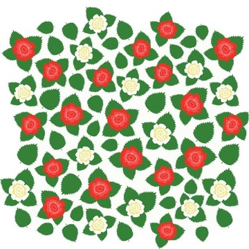 red_and_white_rose_background