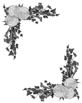 黑白花緣