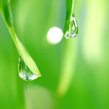 大水滴