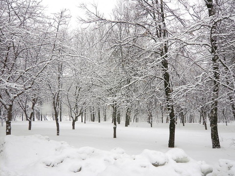 降雪后