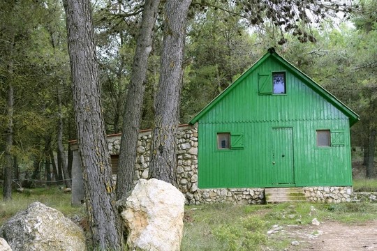 Mediterranean森林里的綠色小木屋