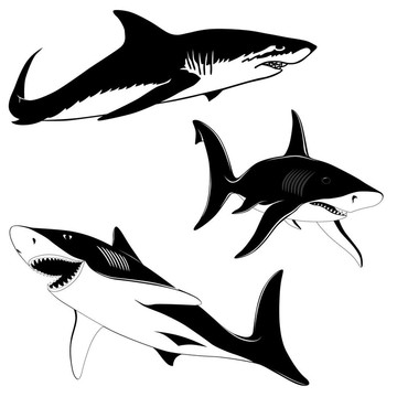 三鯊魚集