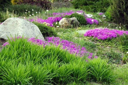 園林設(shè)計(jì)與巖石和Flowers（5）