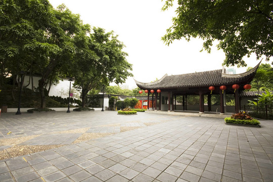 有樹和植物的寬中國(guó)式花園