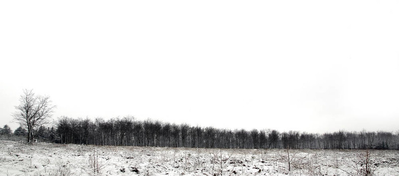 雪線全景