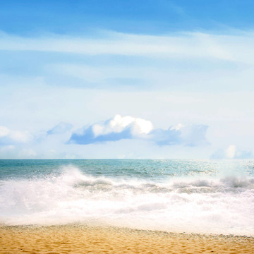 海