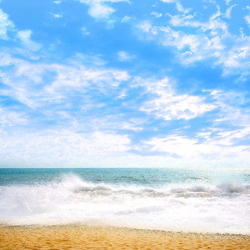 海