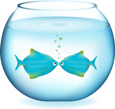 接吻魚