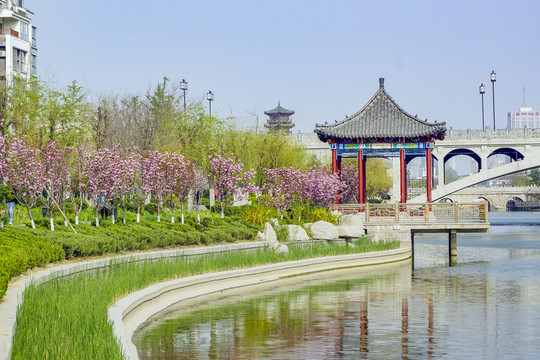城市公園 涼亭春色