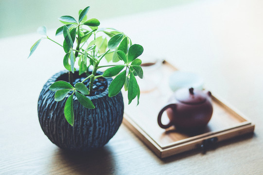 茶具