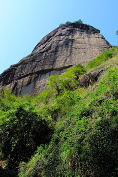 山崖樹(shù)木