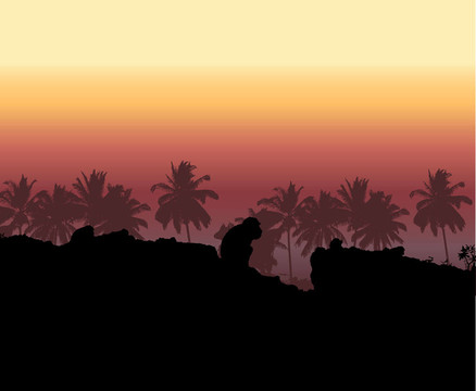 熱帶棕櫚樹silhouet日落；