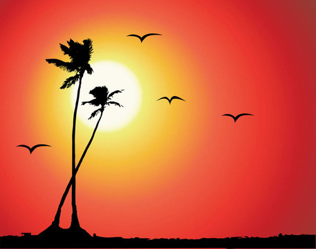 熱帶棕櫚樹(shù)silhouet日落；
