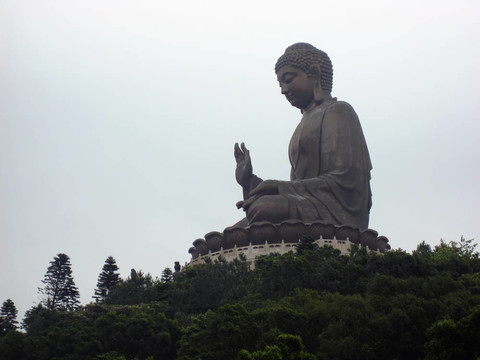 在香港大biddha