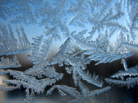冬窗雪紋