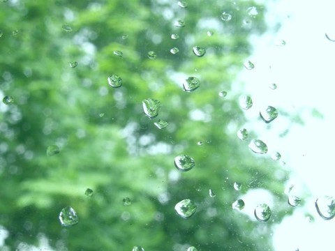 夏天的雨