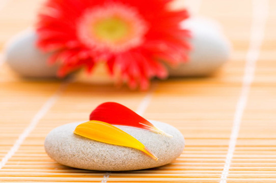 紅花和溫泉卵石