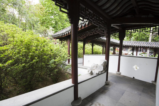 有樹和植物的寬中國(guó)式花園