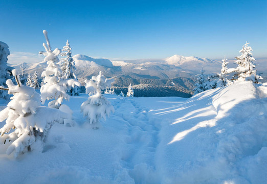 雪景