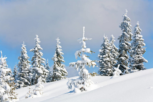 雪景