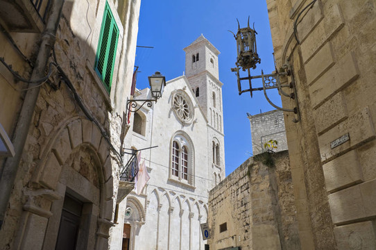 大教堂的Giovinazzo觀。Apulia。