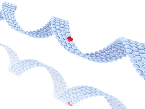 基因在DNA