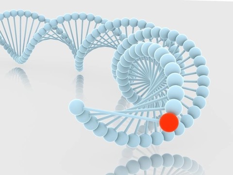 基因在DNA