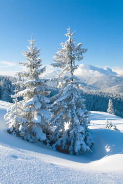 雪景
